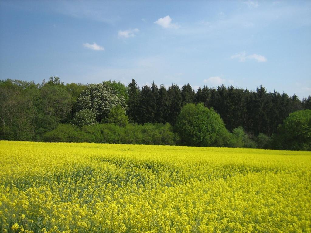 Rhodaer Grund 3* Erfurt